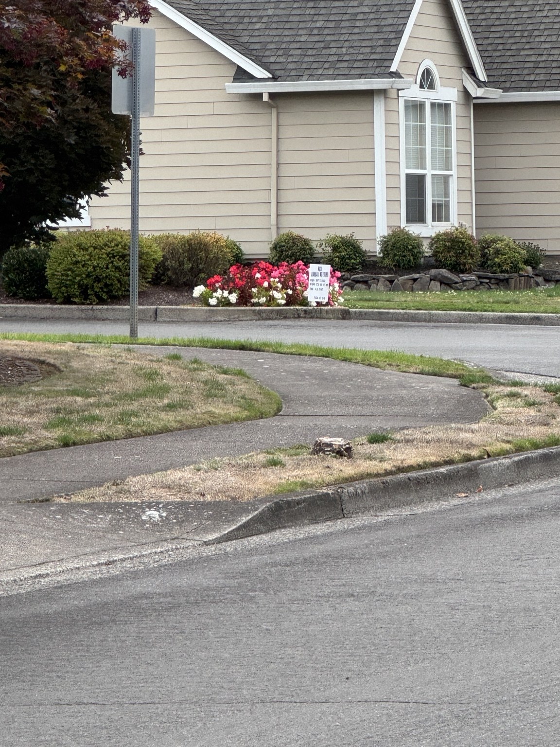 The neighborhood entrance island, with grass, a footpath, and a tree stump